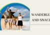 HEALTHY WANDERLUST SNACK BITES