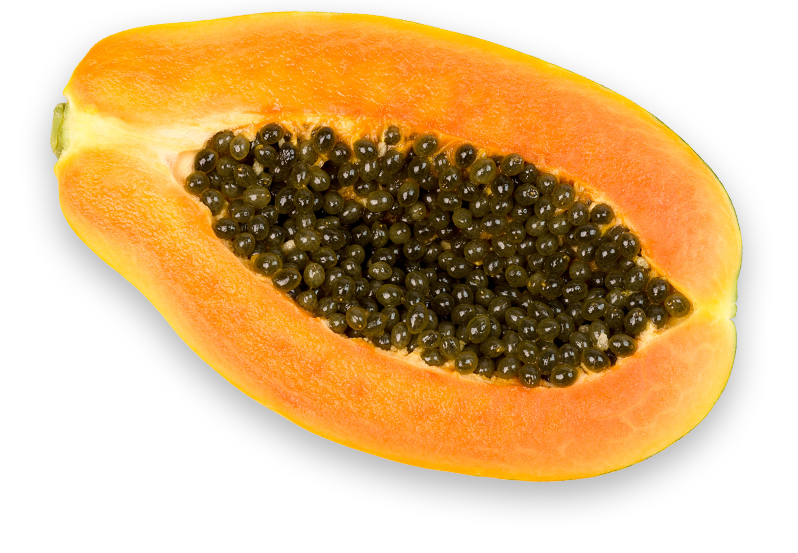 Pros of Papaya! The Fitness India Show