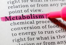 How To Boost Your Metabolism How To Boost Your Metabolism