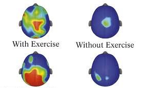 What Happens To The Body When You Do Not Exercise?