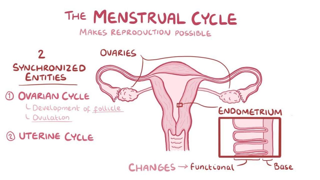 Girls, Know Your Menstrual Changes