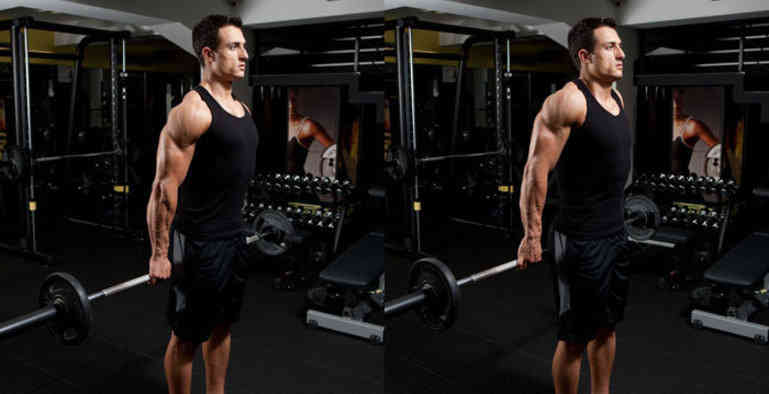 Shoulder Exercises For Everyone