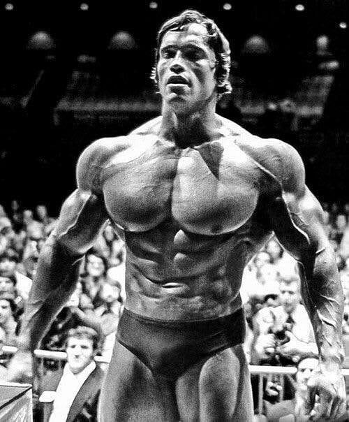 What Is Arnold Schwarzenegger's Abs Workout That Allows Him to Keep His 6-Pack Abs?
