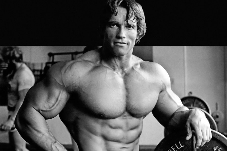 What Is Arnold Schwarzenegger's Abs Workout That Allows Him to Keep His 6Pack Abs? The