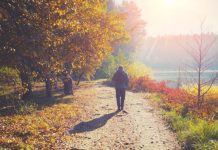 Enhanced Cognition: Walking Boosts Brain Connectivity and Memory in Seniors morning walks