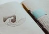 How Keeping a Dream Journal Can Be Beneficial How Keeping a Dream Journal Can Be Beneficial