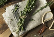 The 8 Remarkable Health Benefits of Rosemary: A Herb for Wellness and Vitality The 8 Remarkable Health Benefits of Rosemary: A Herb for Wellness and Vitality 5 Ways to Achieve Wellness Through Herbs
