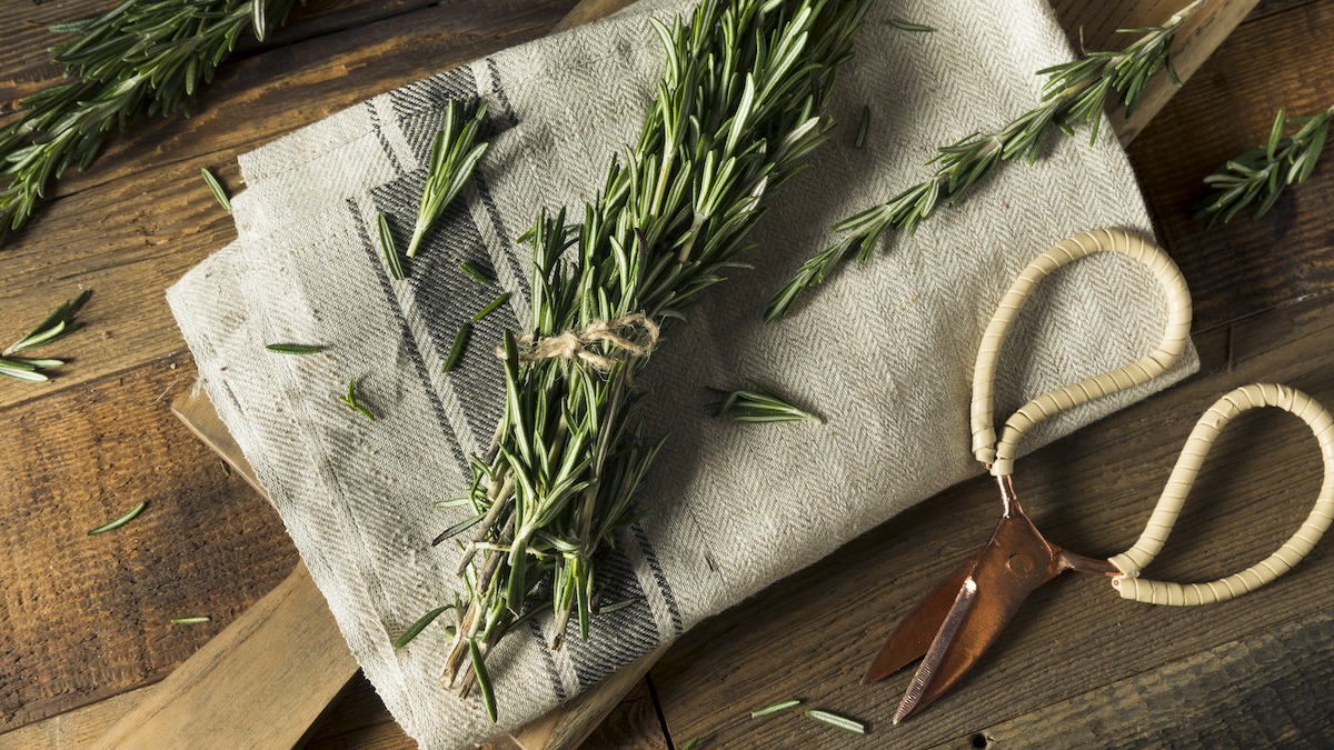 The 8 Remarkable Health Benefits of Rosemary: A Herb for Wellness and Vitality 5 Ways to Achieve Wellness Through Herbs