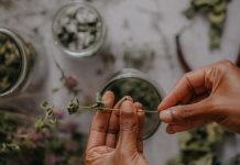 5 Ways to Achieve Wellness Through Herbs 5 Ways to Achieve Wellness Through Herbs