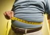 Japan’s Secret to Shredding Belly Fat in 5 Moves Belly Fat