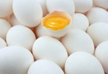Is Egg Yolk really good enough to consume? egg yolk