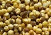 The Roasted Chana that you have in your “Chakna” can be much more beneficial than you know!