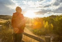 Vitamin D: Unveiling the Benefits and Sources (It’s Not Just the Sun) Vitamin D